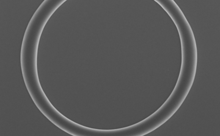 SEM image of circular waveguide