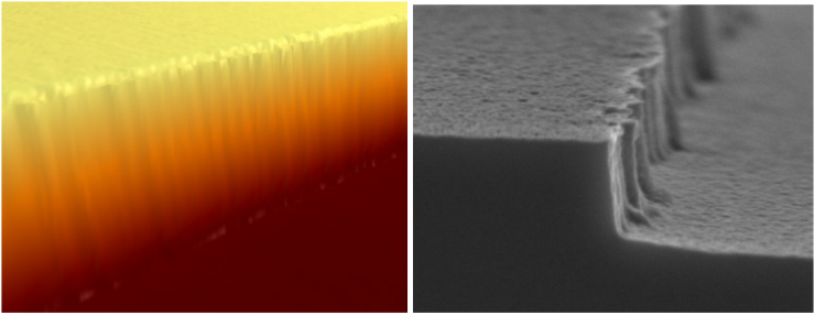 Images of AFM and SEM of line edge roughness