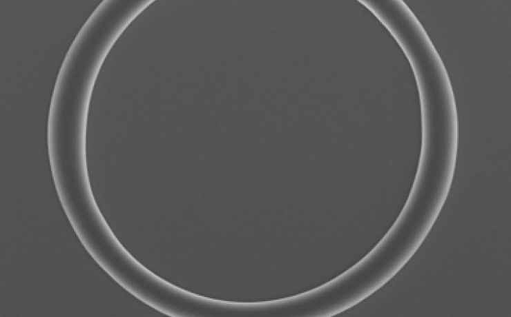 SEM image of circular waveguide